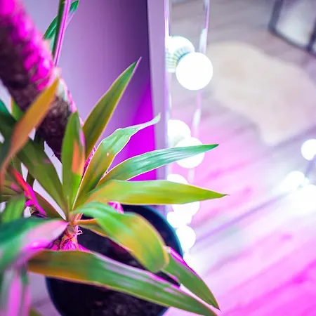 De Lux Jacuzzi Pat Rotund Semineu Zona Ford Apartment